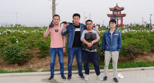 影視宣傳，我們是認(rèn)真的——西安網(wǎng)站建設(shè)助力影視行業(yè)騰飛