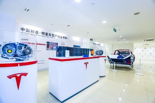 管中窺豹 上海超級工廠主題展登陸山城，揭秘特斯拉硬核科技與重慶心理咨詢跨界融合